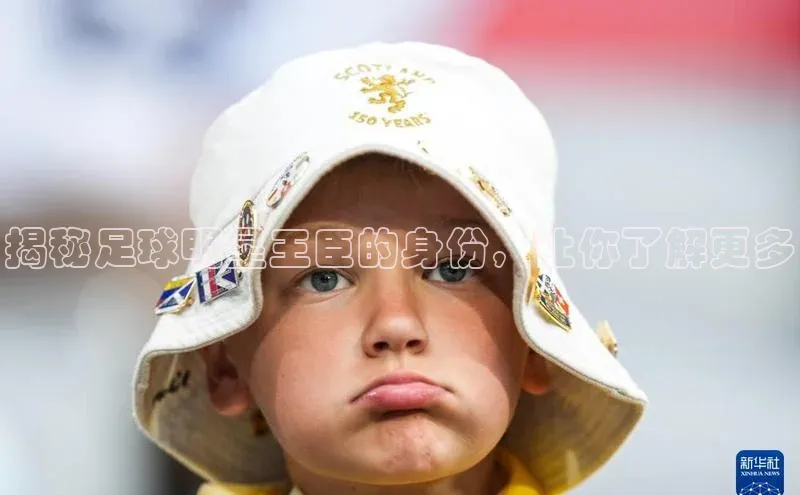 万向注册百度集团揭秘足球明星王臣的身份，让你了解更多