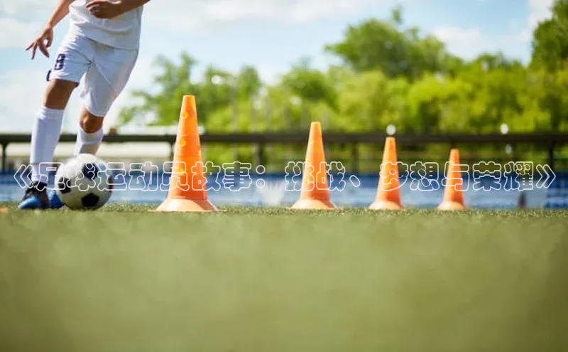 万向娱乐的注册登录诸葛科技《足球运动员故事：挑战、梦想与荣耀》