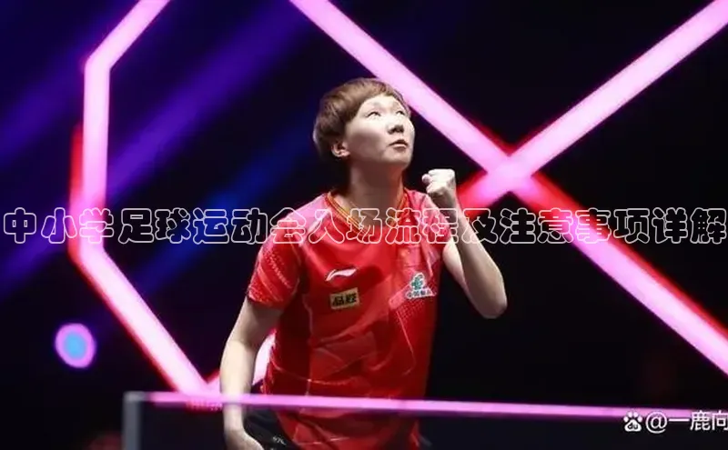 万向注册百度集团中小学足球运动会入场流程及注意事项详解