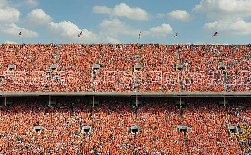 运动艇赛事：从国际到国内的多样选择