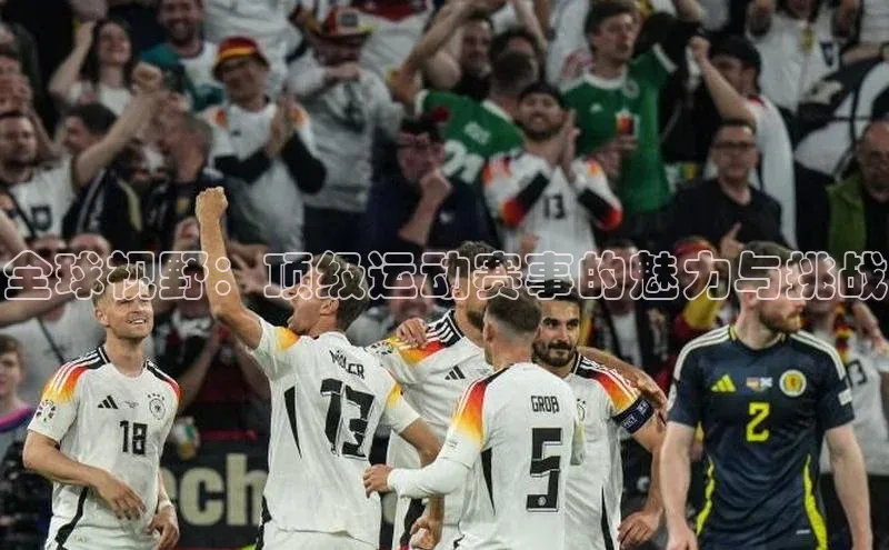 全球视野：顶级运动赛事的魅力与挑战