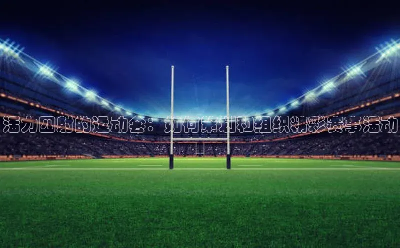 活力四射的运动会：如何策划和组织精彩赛事活动