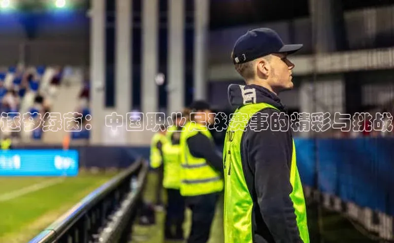 逐梦绿茵：中国职业足球赛事的精彩与挑战