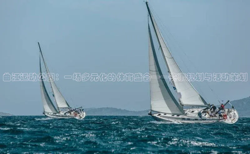 曲江运动公园：一场多元化的体育盛会——赛事规划与活动策划