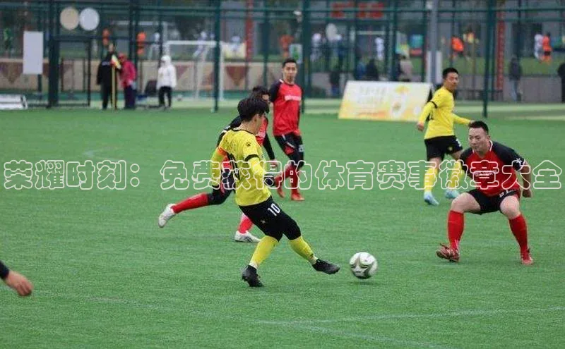 荣耀时刻：免费获得的体育赛事徽章大全