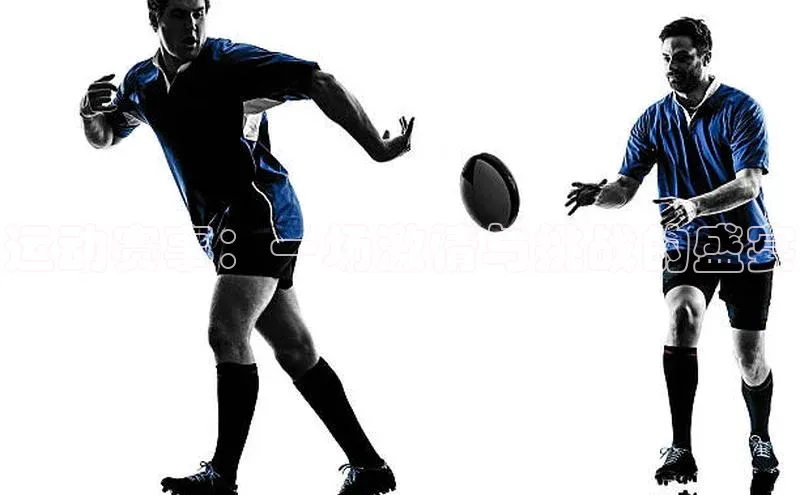 运动赛事：一场激情与挑战的盛宴