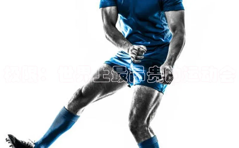 万向娱乐登录入口注册