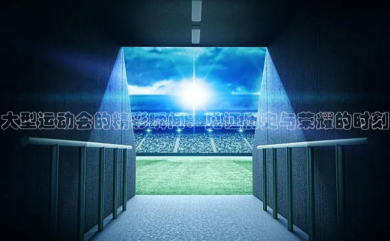 万向娱乐app官网下载